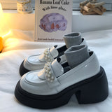 Thick High Heels And Lace Up Small Leather Shoes